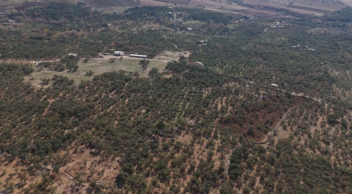 Mardin Büyükşehir Belediyesinden Derik zeytini için dal kanserine karşı mücadele
Mardin Büyükşehir Belediyesinden Derik zeytini için dal kanserine karşı mücadele