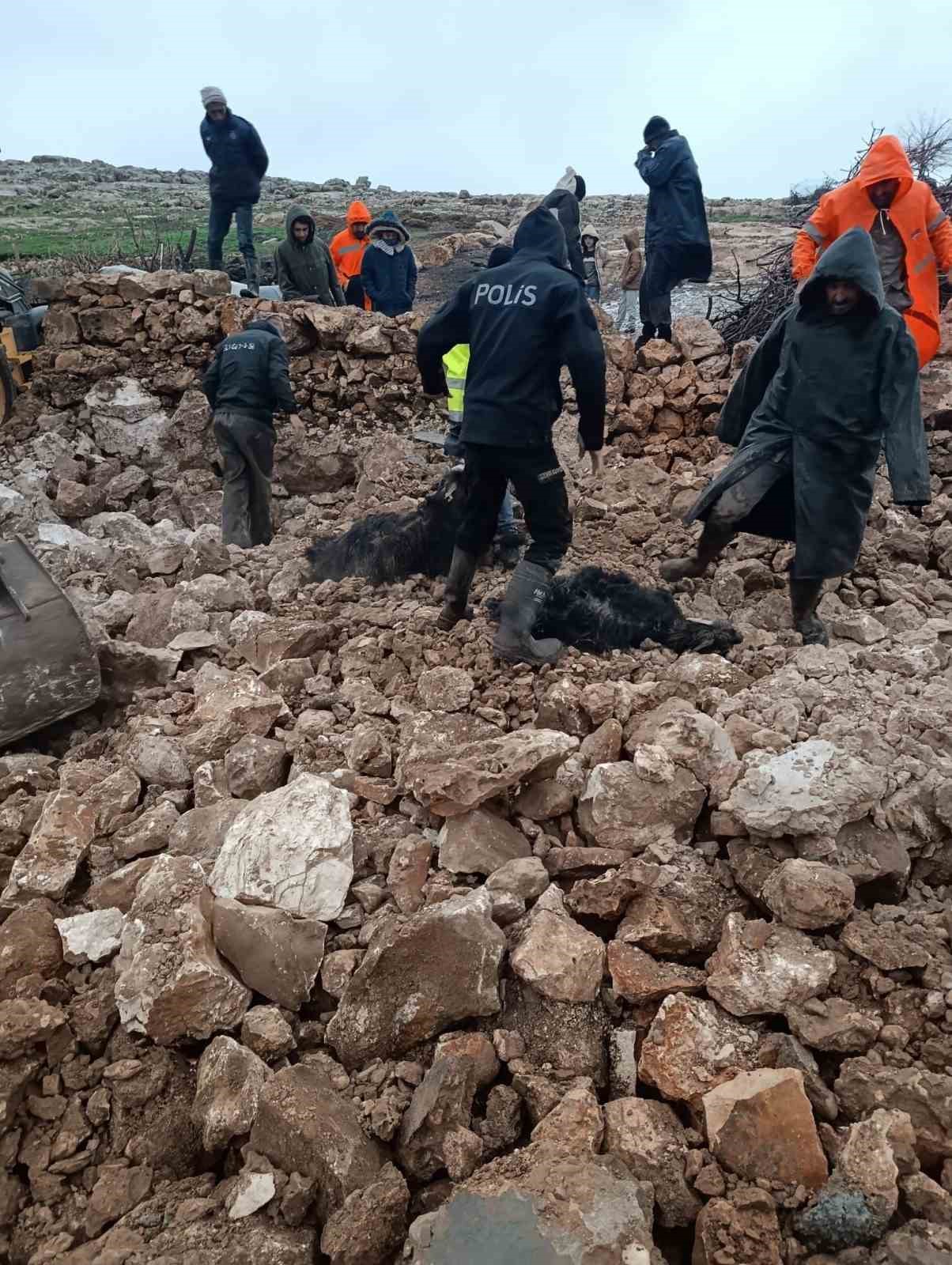 Mardin’de ahırın çökmesi sonucu 30 küçükbaş telef oldu
