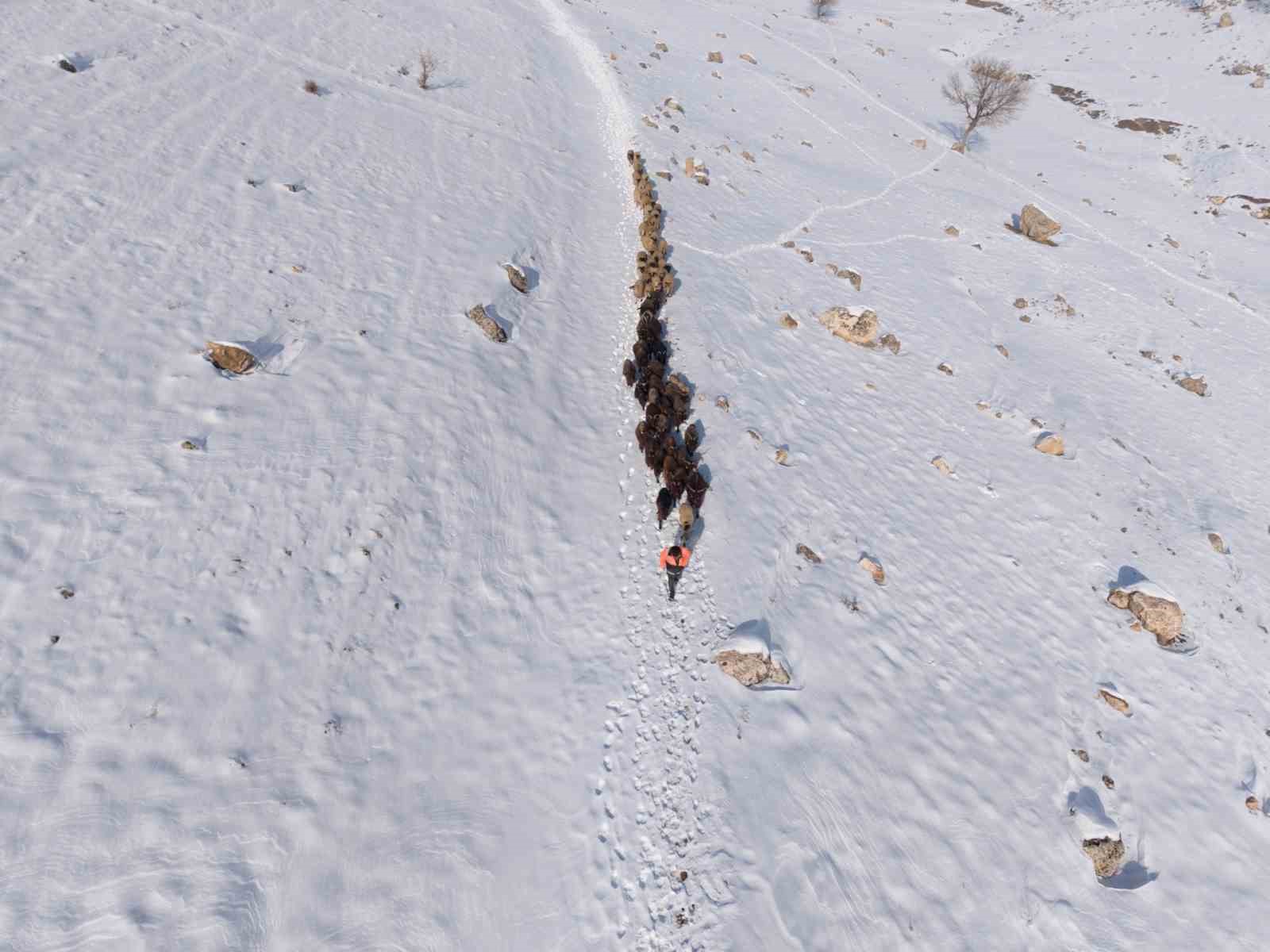 Mardin’de besicilerin zorlu ’kar’ mesaisi: Sürüler beyaz örtüde yol alıyor
