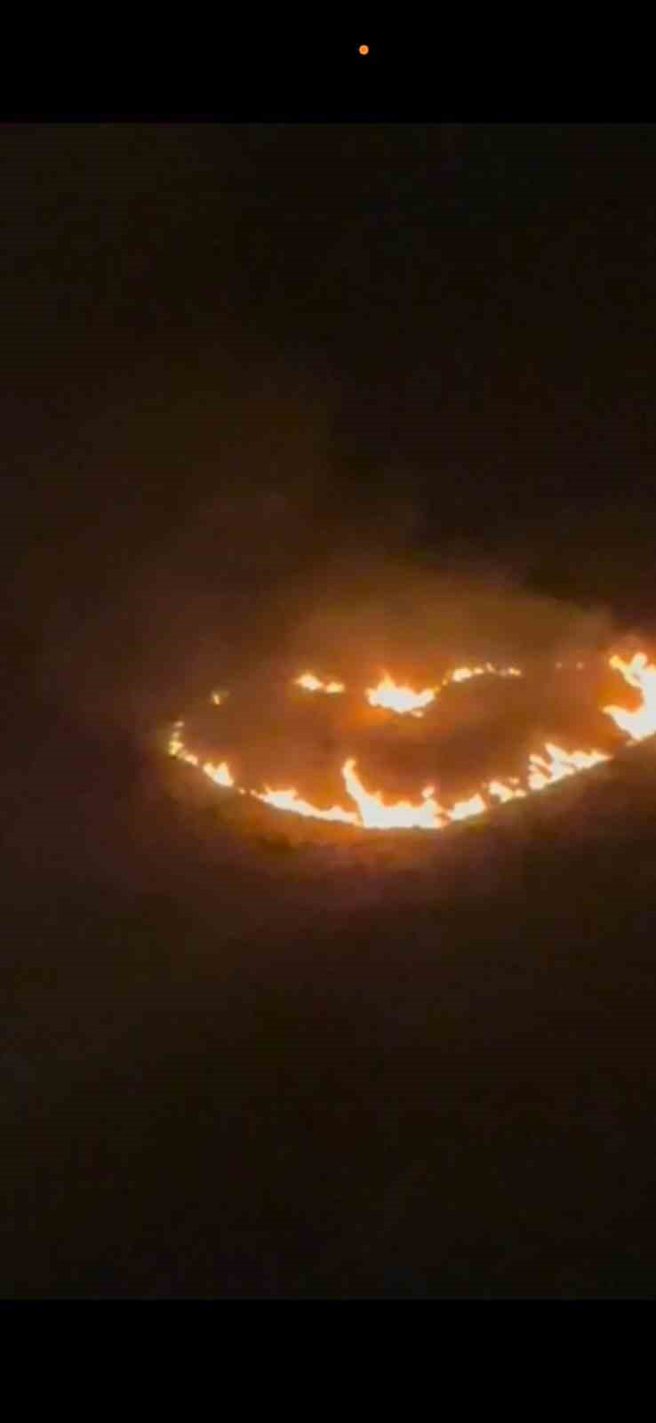 Mardin’de ilanıaşk yangına neden oluyordu
