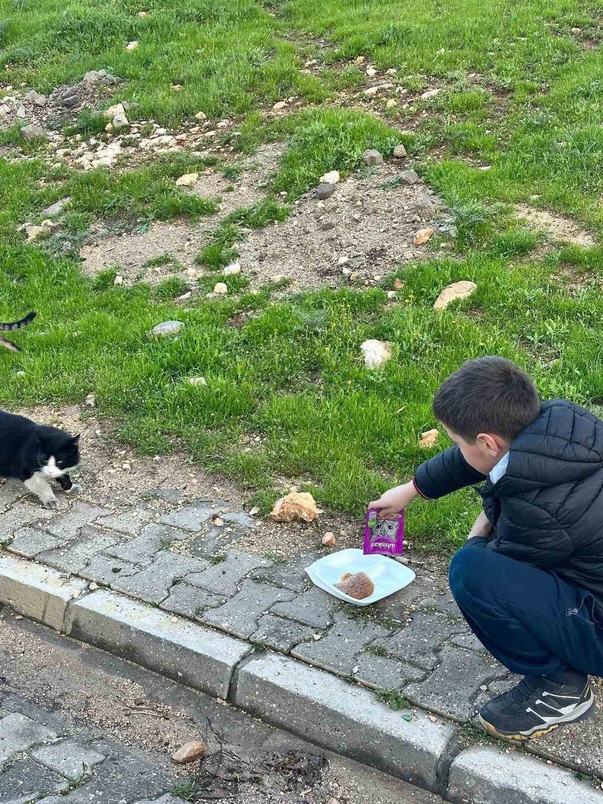 Mardin’de iyilik zinciri Yekta Projesiyle büyüyor
Mardin’de iyilik zinciri Yekta Projesiyle büyüyor