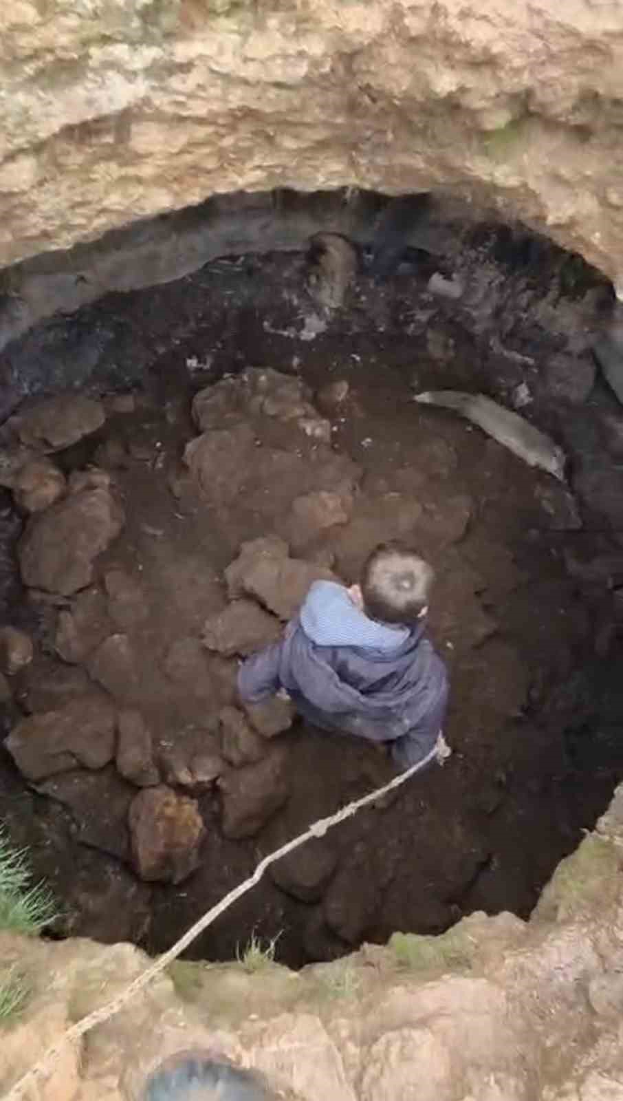 Mardin’de kuyuya düşen tilkiyi gençler kurtardı
