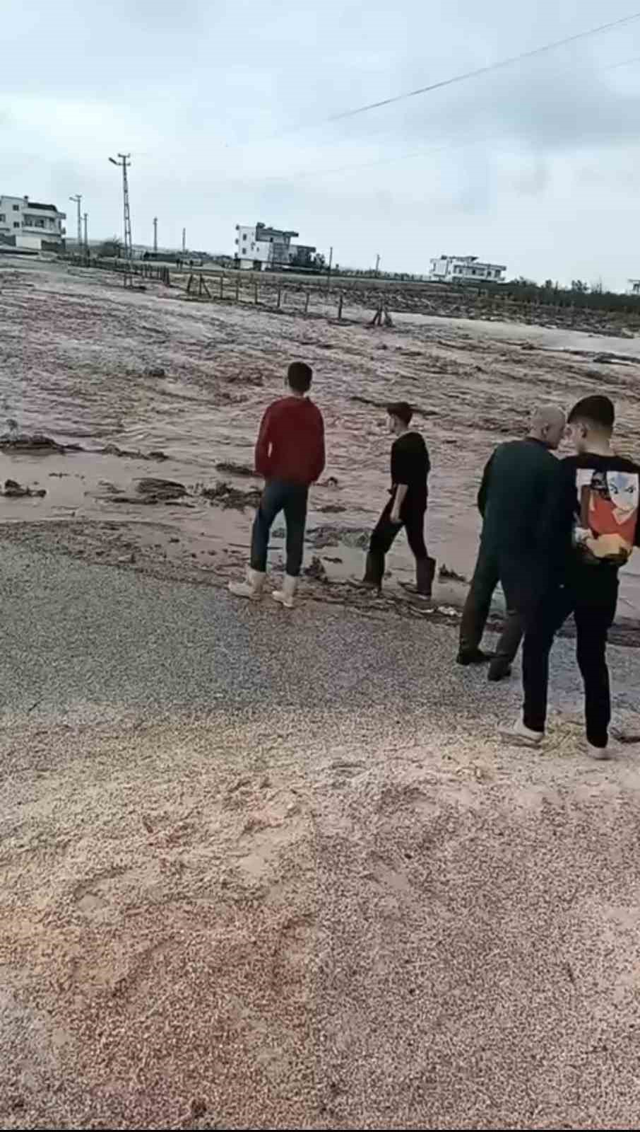 Mardin’de sağanak hayatı olumsuz etkiledi
