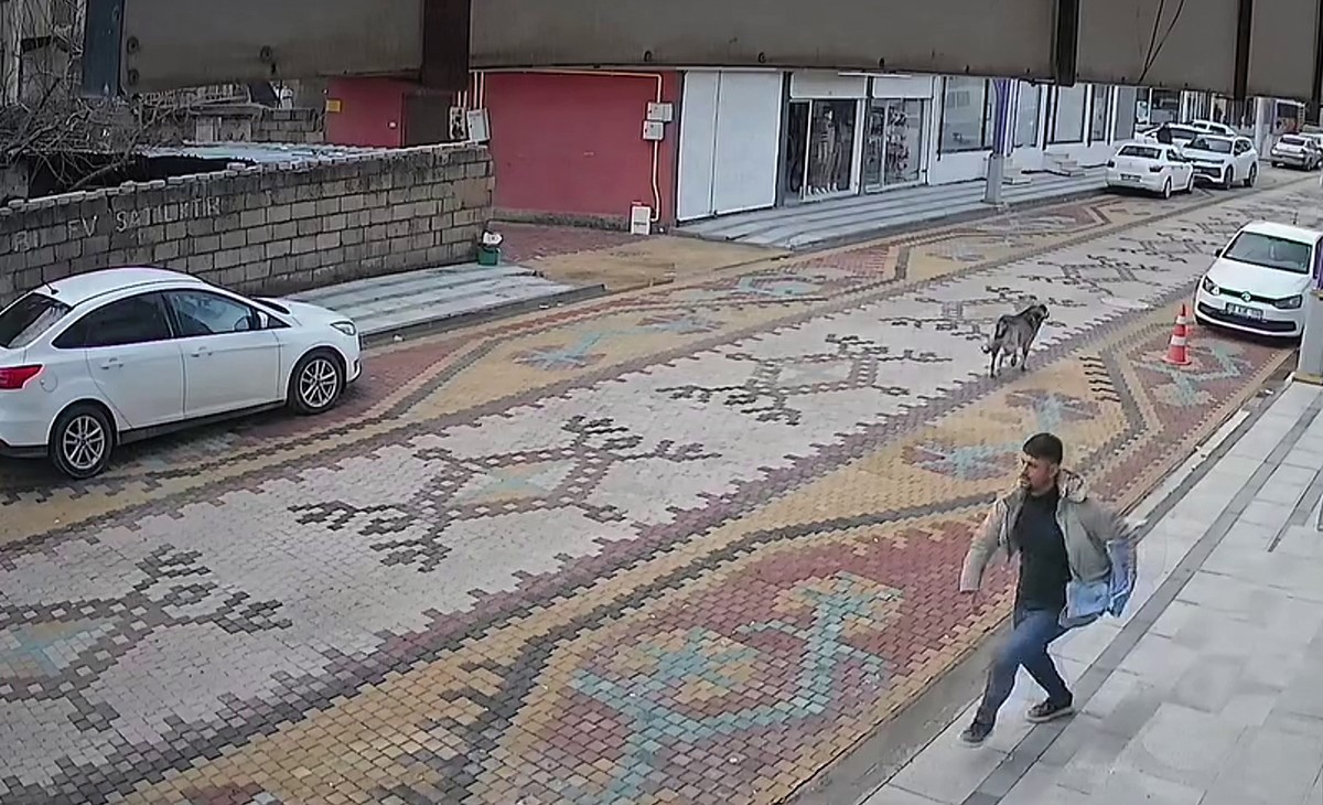 Mardin’de sokak köpeklerinin saldırdığı çocuğu esnaf kurtardı
