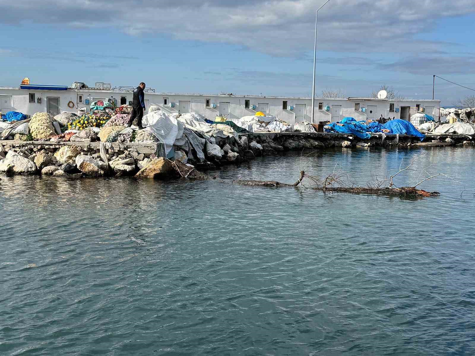 Marmara Denizi’nde feribot trafiği için tehlike oluşturan yüzen ağaç kıyıya çekildi
