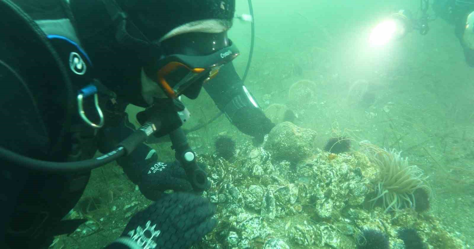 Marmara Denizi’ne kıyı kentlerin Belediye Başkanlarına dalış çağrı

