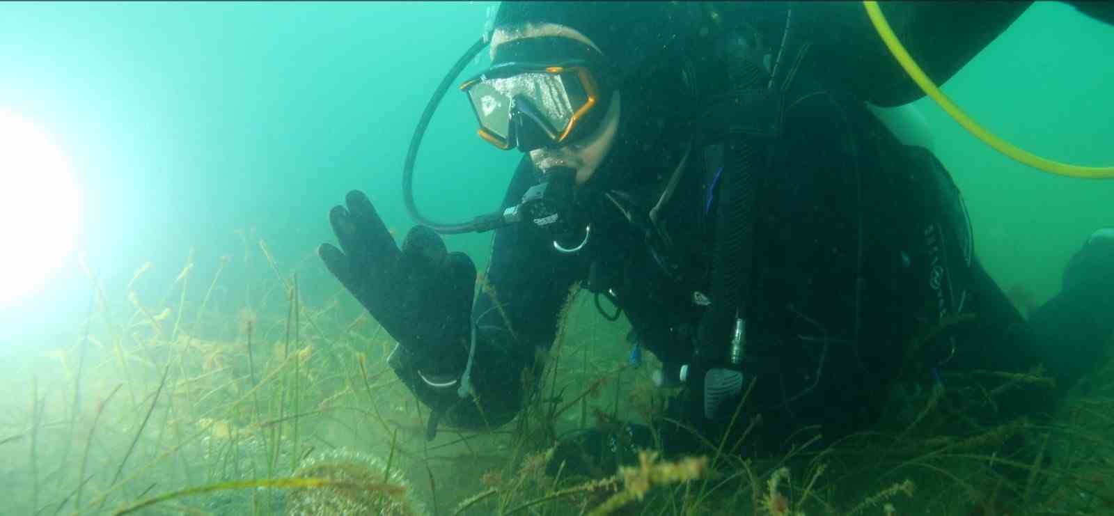 Marmara Denizi’ne kıyı kentlerin Belediye Başkanlarına dalış çağrı
