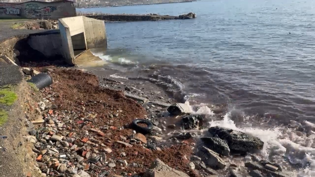 Marmara’daki fırtına Tekirdağ kıyılarını kızıl yosunla sürükledi
