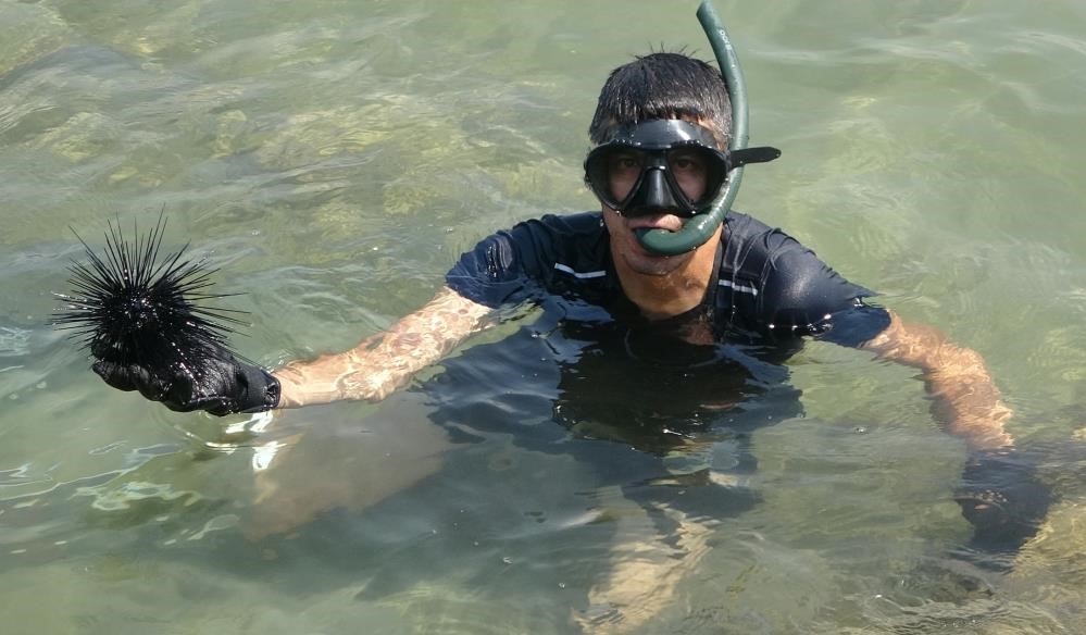 Marmara’nın denizkestanesi avcılığına açılmasına tepki
