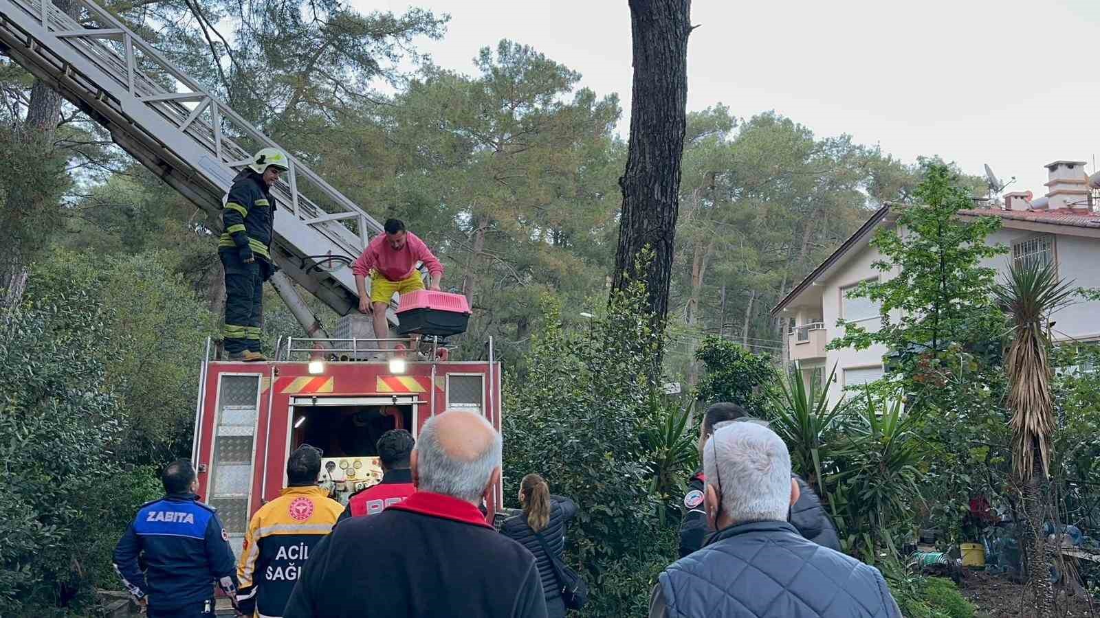 Marmaris’te çatı katı yangını: Mahsur kalan bir kişi kurtarıldı
