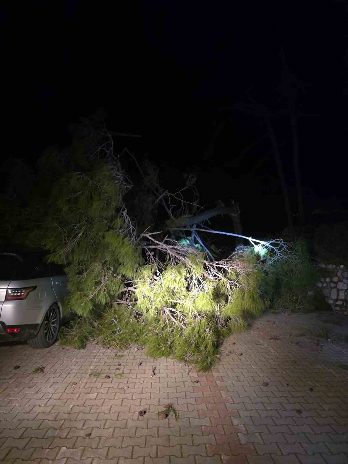 Marmaris’te fırtına ağaç devirdi: 1 kişi yaralandı
