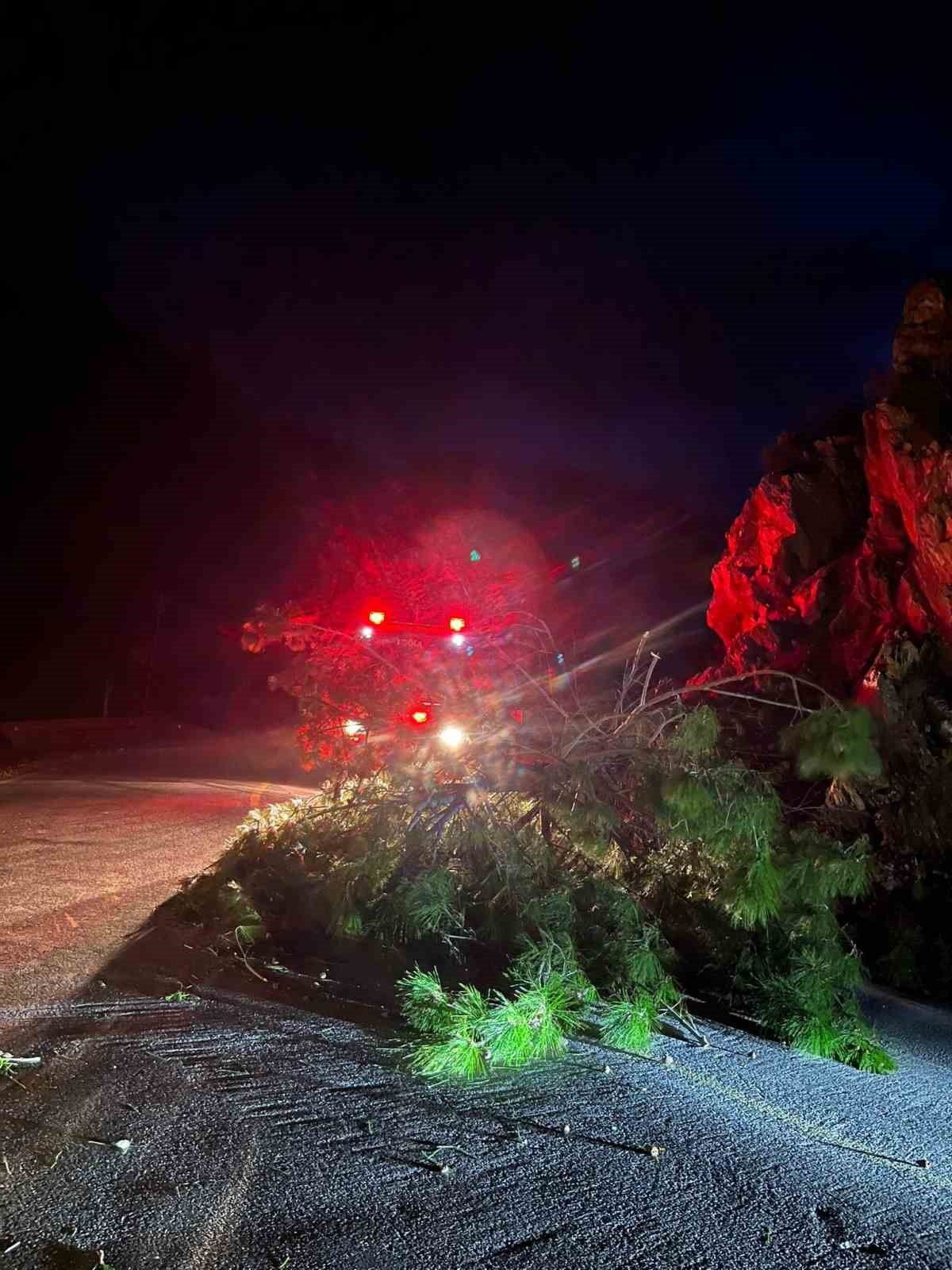 Marmaris’te fırtına ağaç devirdi: 1 kişi yaralandı
