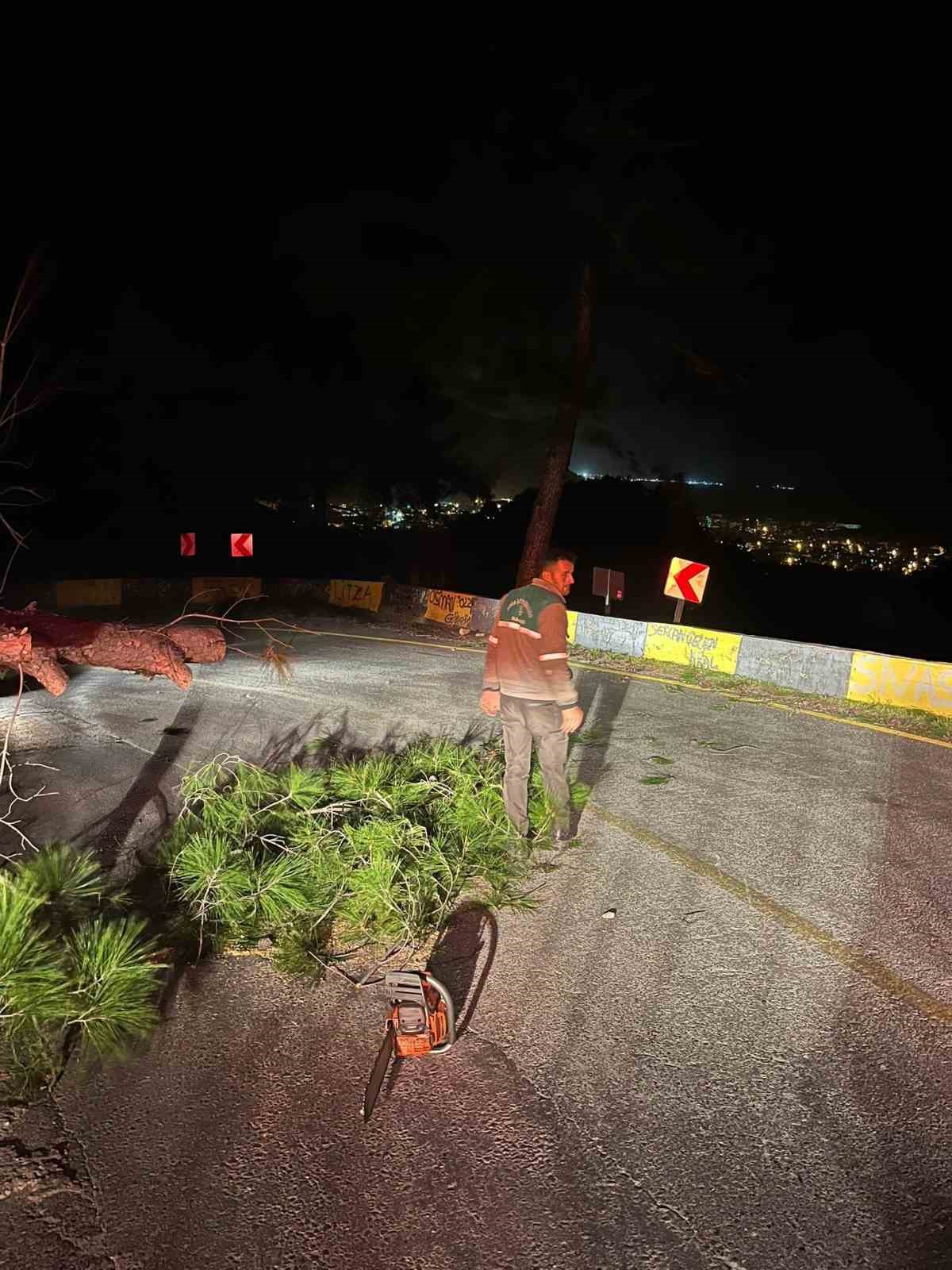 Marmaris’te fırtına ağaç devirdi: 1 kişi yaralandı
