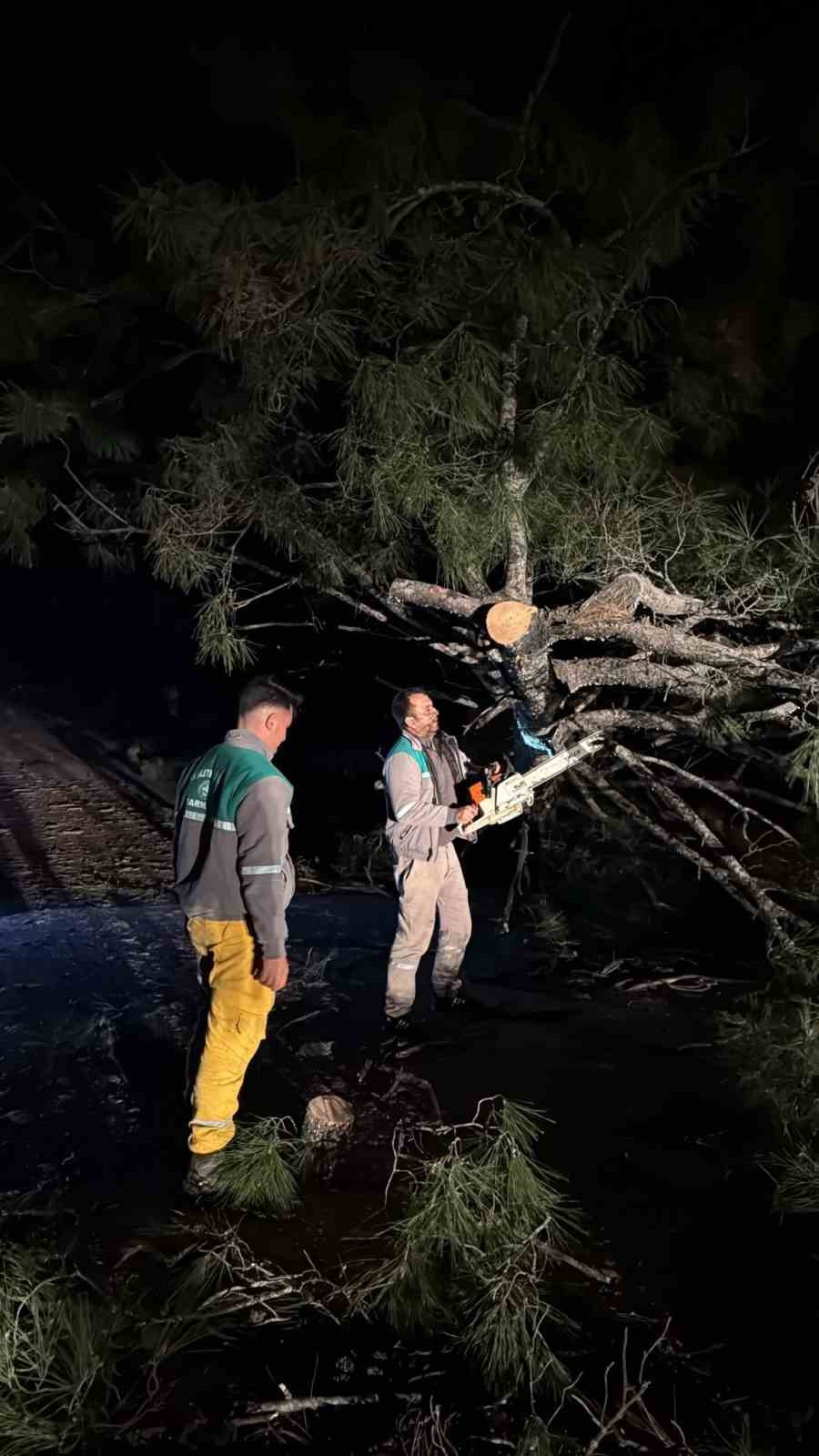 Marmaris’te fırtına ağaç devirdi: 1 kişi yaralandı

