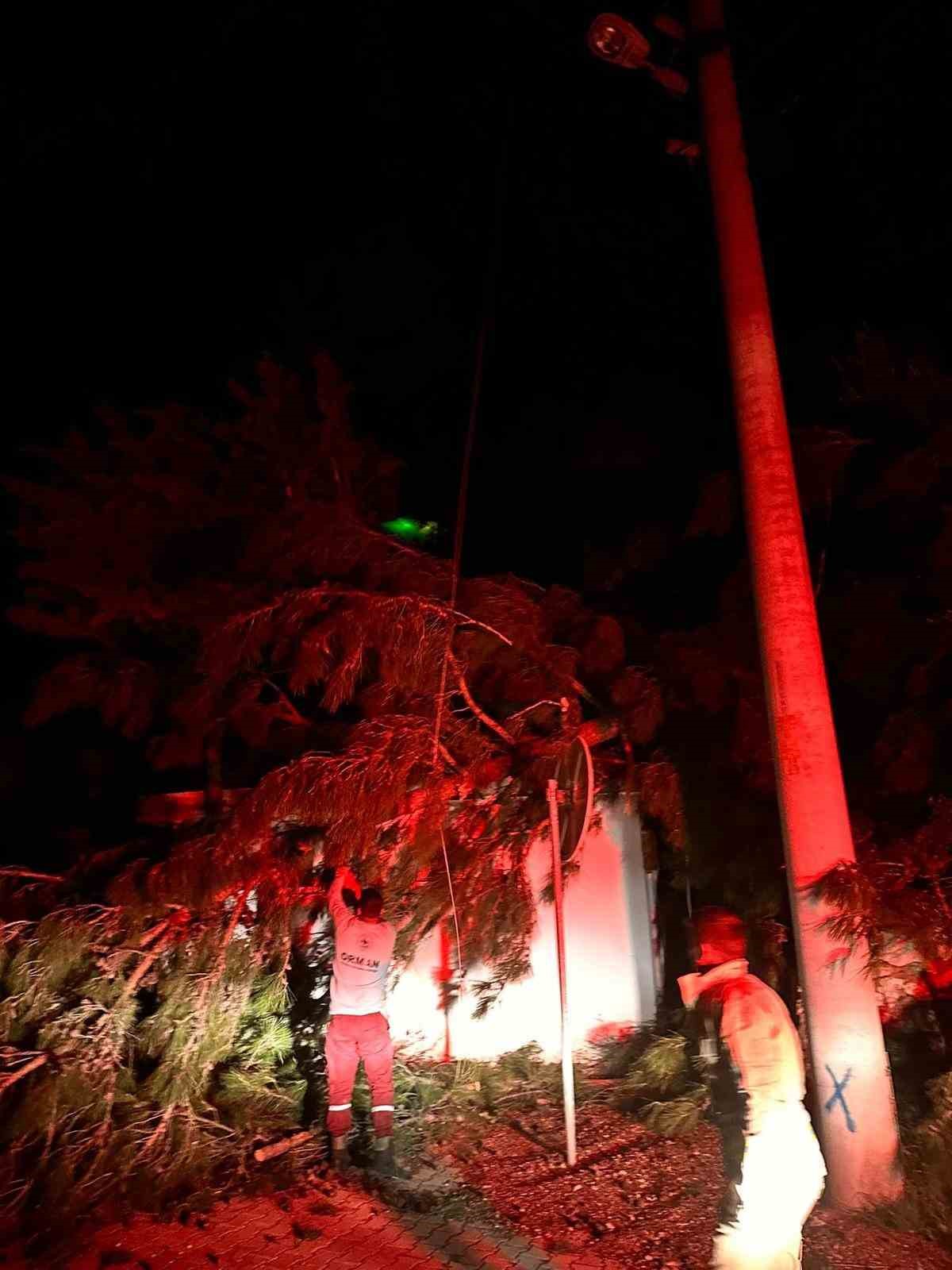 Marmaris’te fırtına ağaç devirdi: 1 kişi yaralandı
