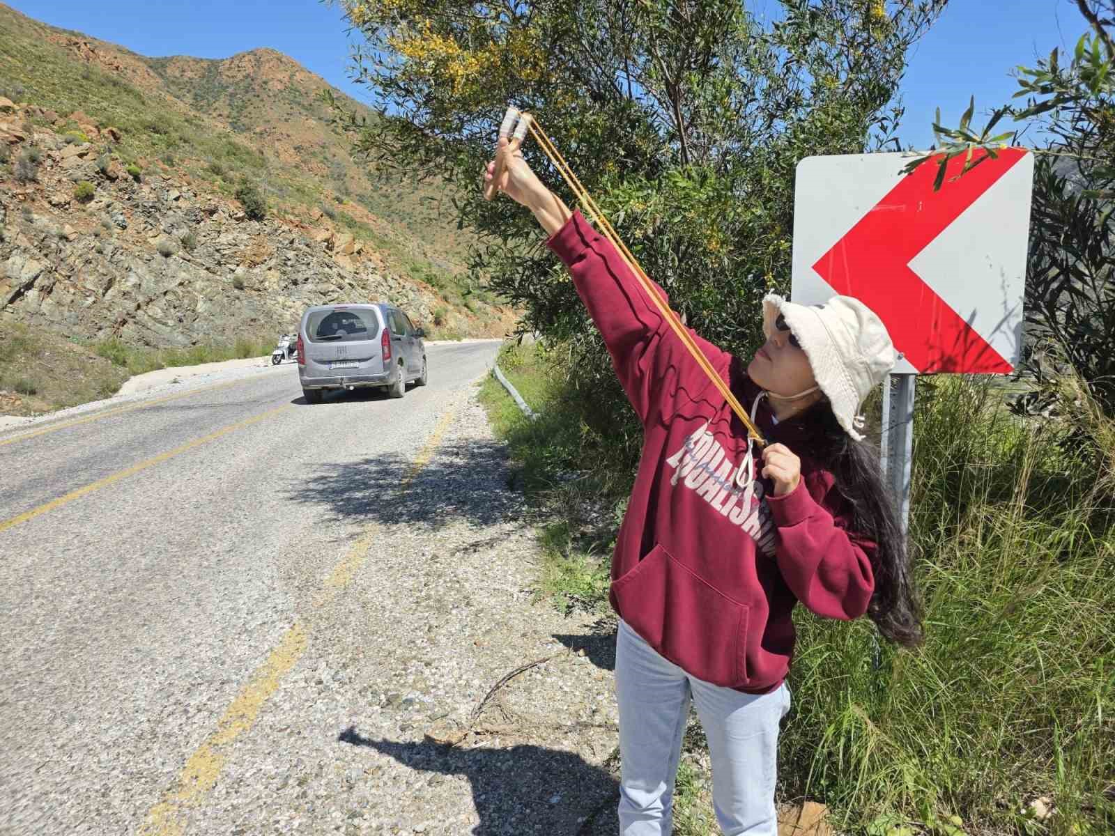 Marmaris’te sapanla  tohum topu attılar
