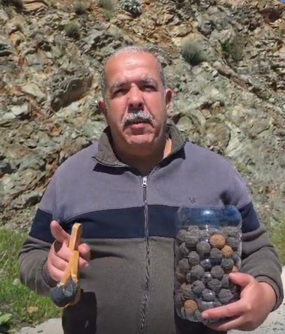 Marmaris’te sapanla  tohum topu attılar
