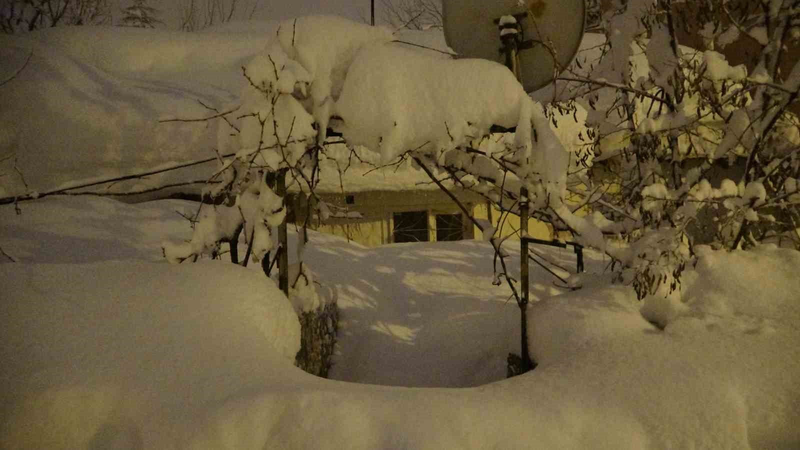 Mart geldi ama Bitlis’te kış bitmedi
