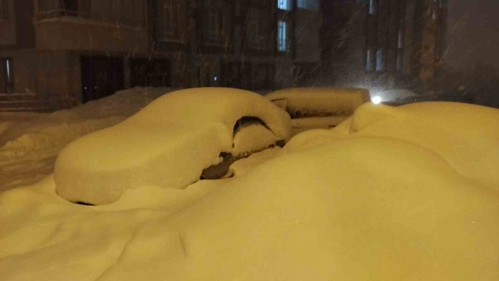 Mart geldi ama Bitlis’te kış bitmedi
