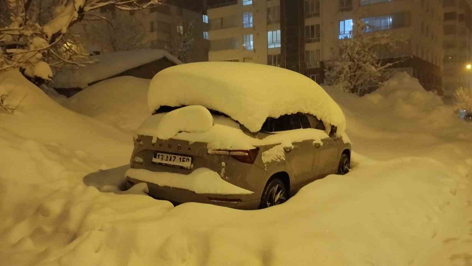 Mart geldi ama Bitlis’te kış bitmedi
