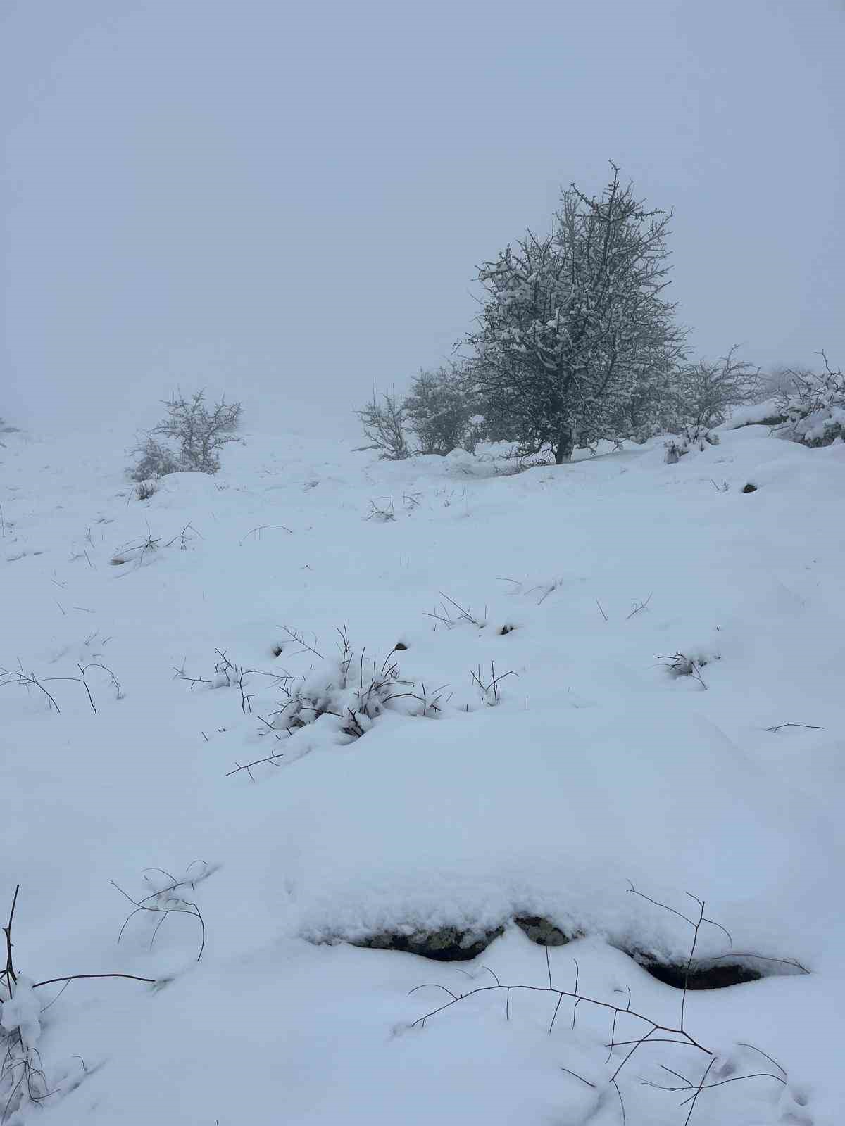 Mart sonunda Karıncalı Dağ’da kar sürprizi
