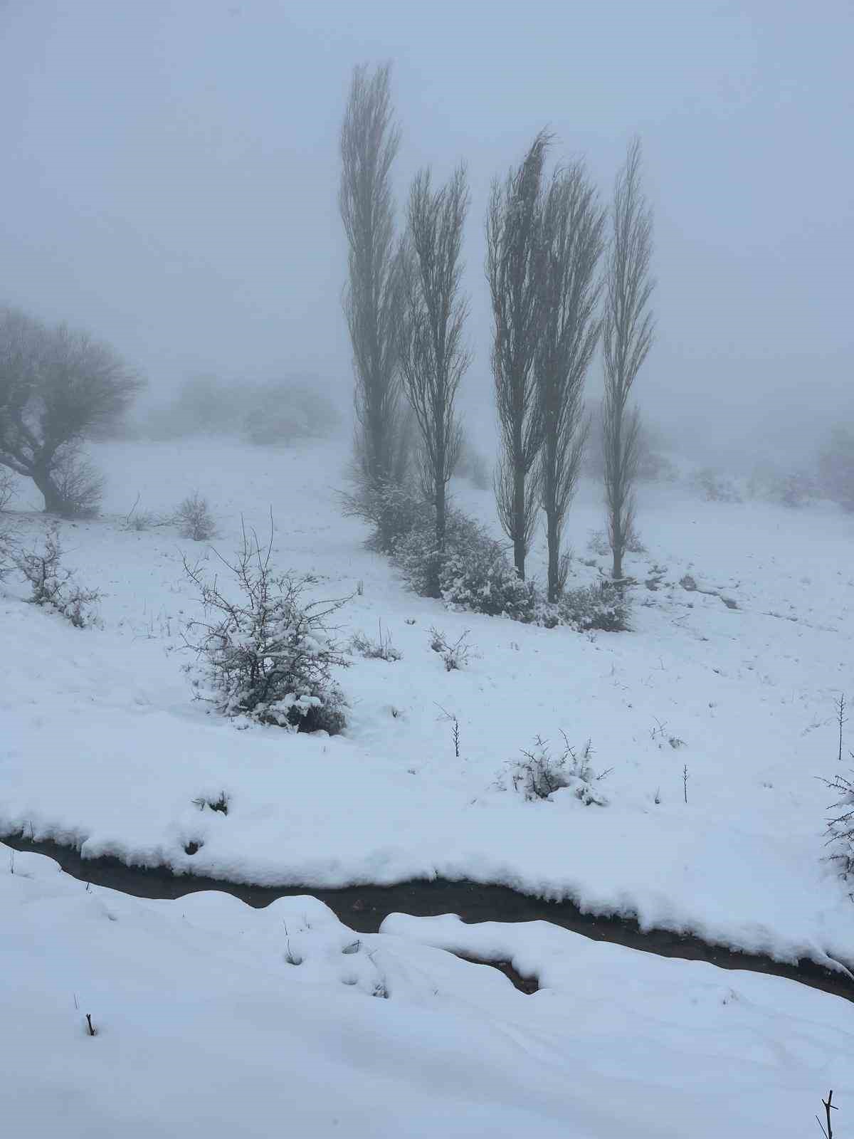 Mart sonunda Karıncalı Dağ’da kar sürprizi
