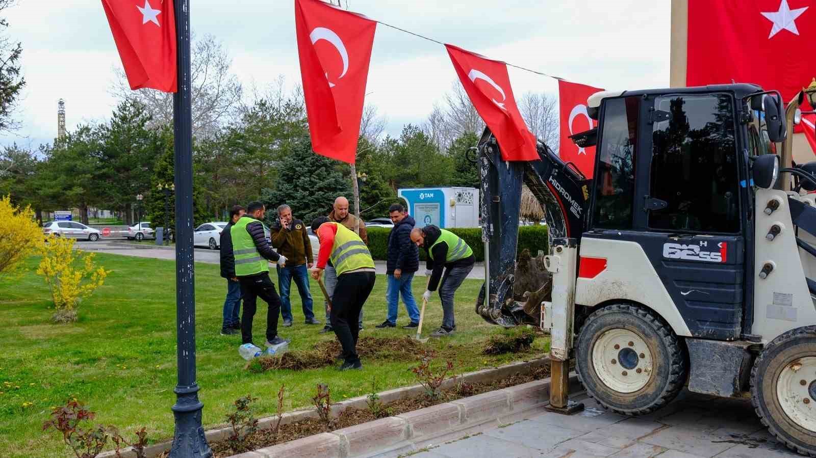 "Masumiyet Çınarları" kaybedilen canların hatırası için dikildi
