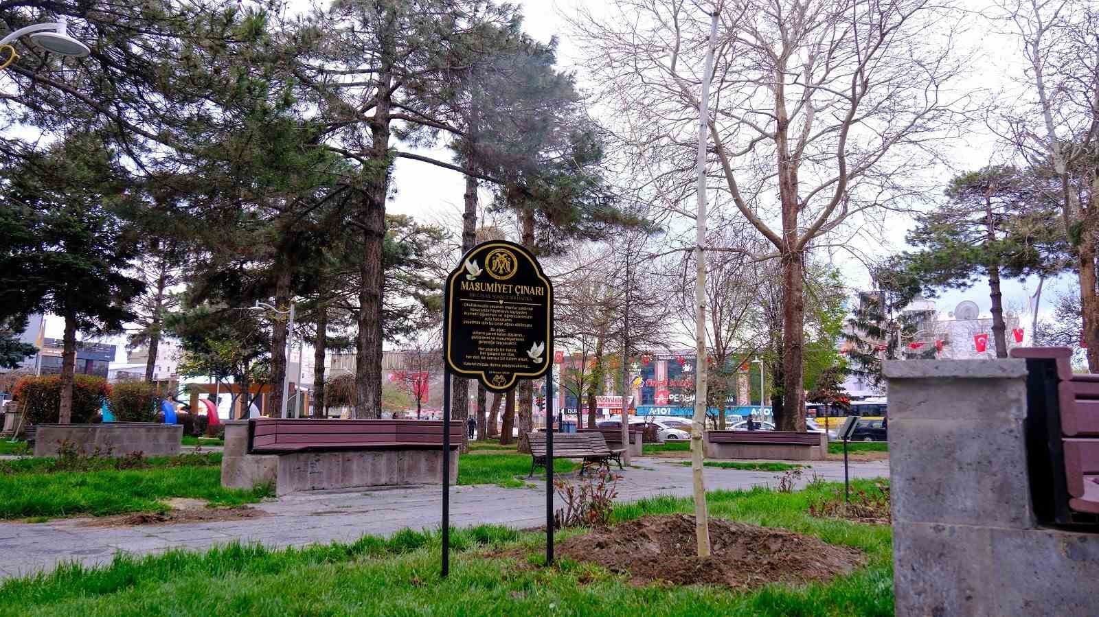 "Masumiyet Çınarları" kaybedilen canların hatırası için dikildi
