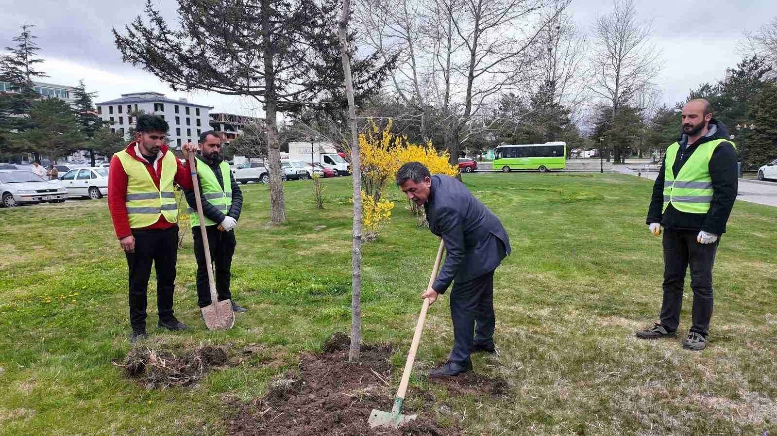 "Masumiyet Çınarları" kaybedilen canların hatırası için dikildi
