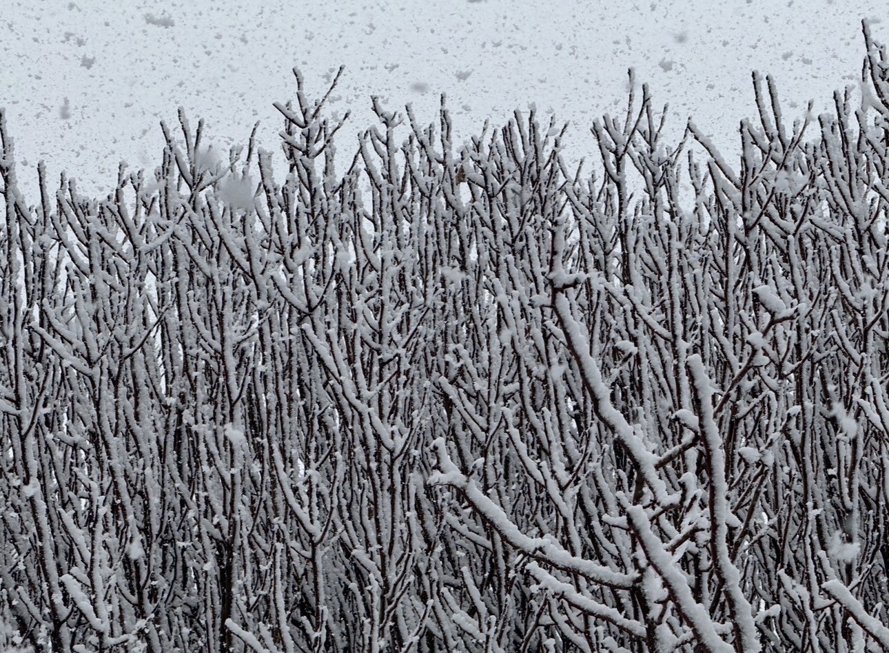 Mazıdağı’nda mart ayında kar yağışı etkili oldu
