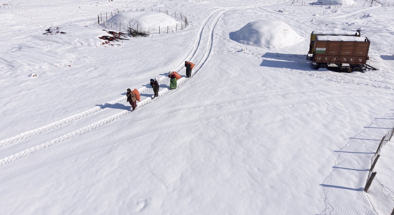 Mazıdağı’nın karlı yollarında zorlu mesai: Kadınlar sırtlarında saman taşıyarak kışa meydan okuyor
