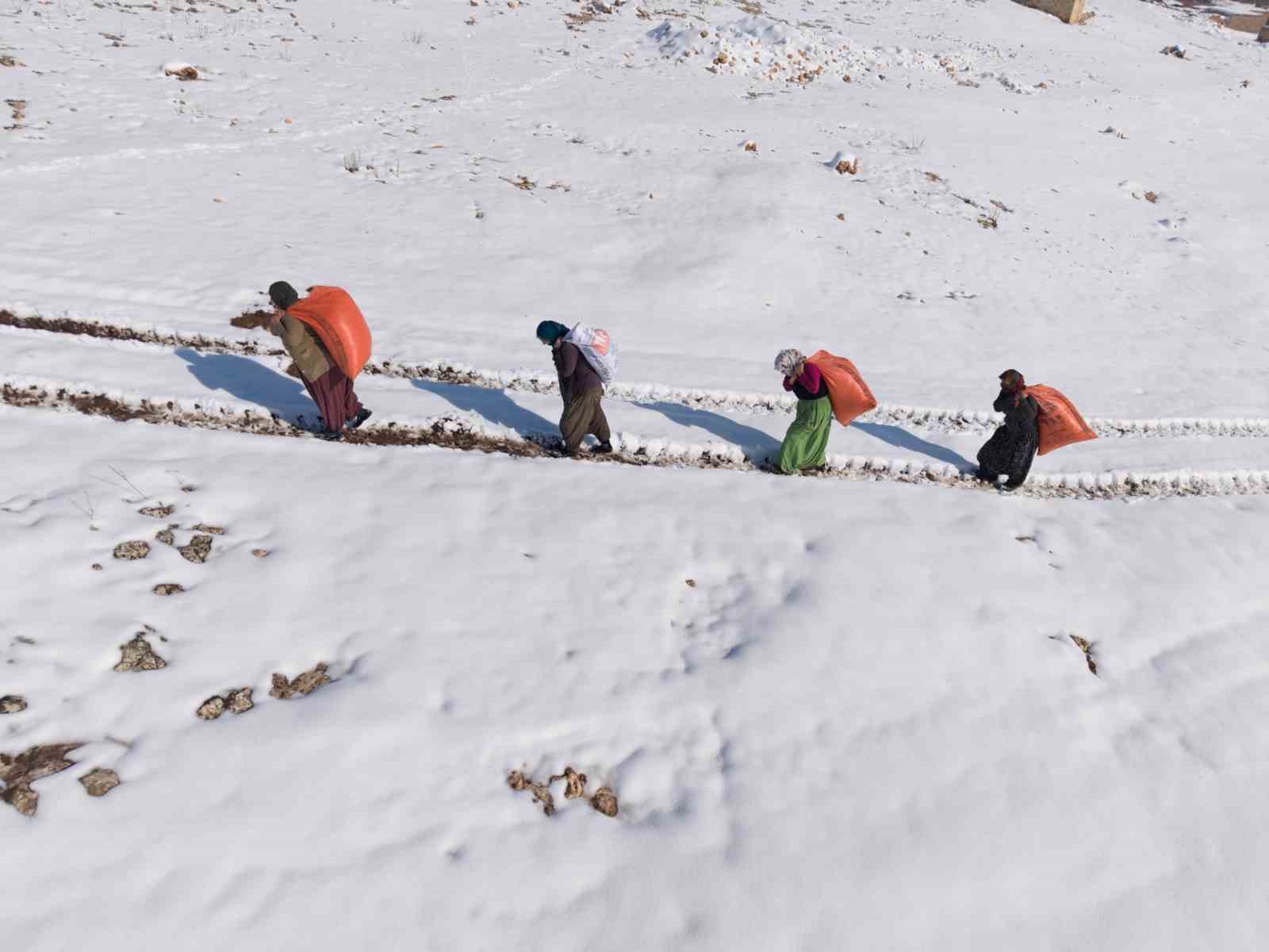 Mazıdağı’nın karlı yollarında zorlu mesai: Kadınlar sırtlarında saman taşıyarak kışa meydan okuyor
