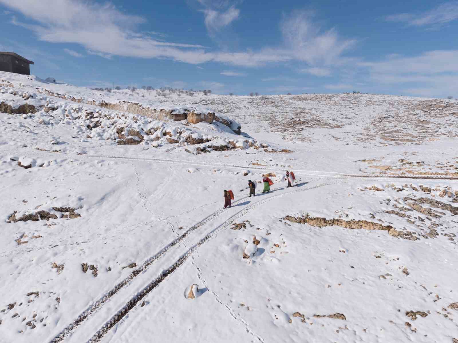 Mazıdağı’nın karlı yollarında zorlu mesai: Kadınlar sırtlarında saman taşıyarak kışa meydan okuyor
