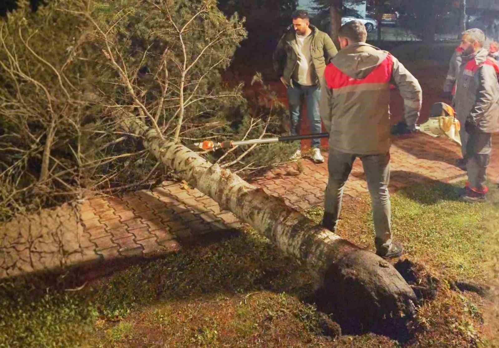 Melikgazi Belediyesi ekipleri rüzgar mesaisinde
