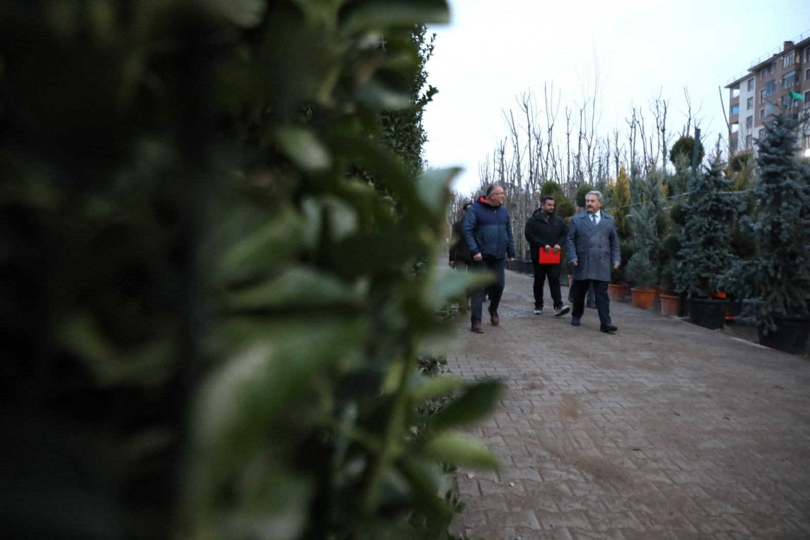 Melikgazi Belediyesi, yeni ağaçlarla nefes olmaya devam ediyor
