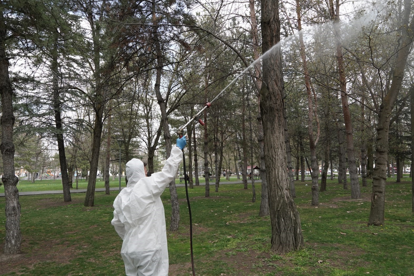 Melikgazi’de haşeresiz ve sivrisineksiz bir yaz için ilaçlama yapıldı
Melikgazi’de haşeresiz ve sivrisineksiz bir yaz için ilaçlama yapıldı