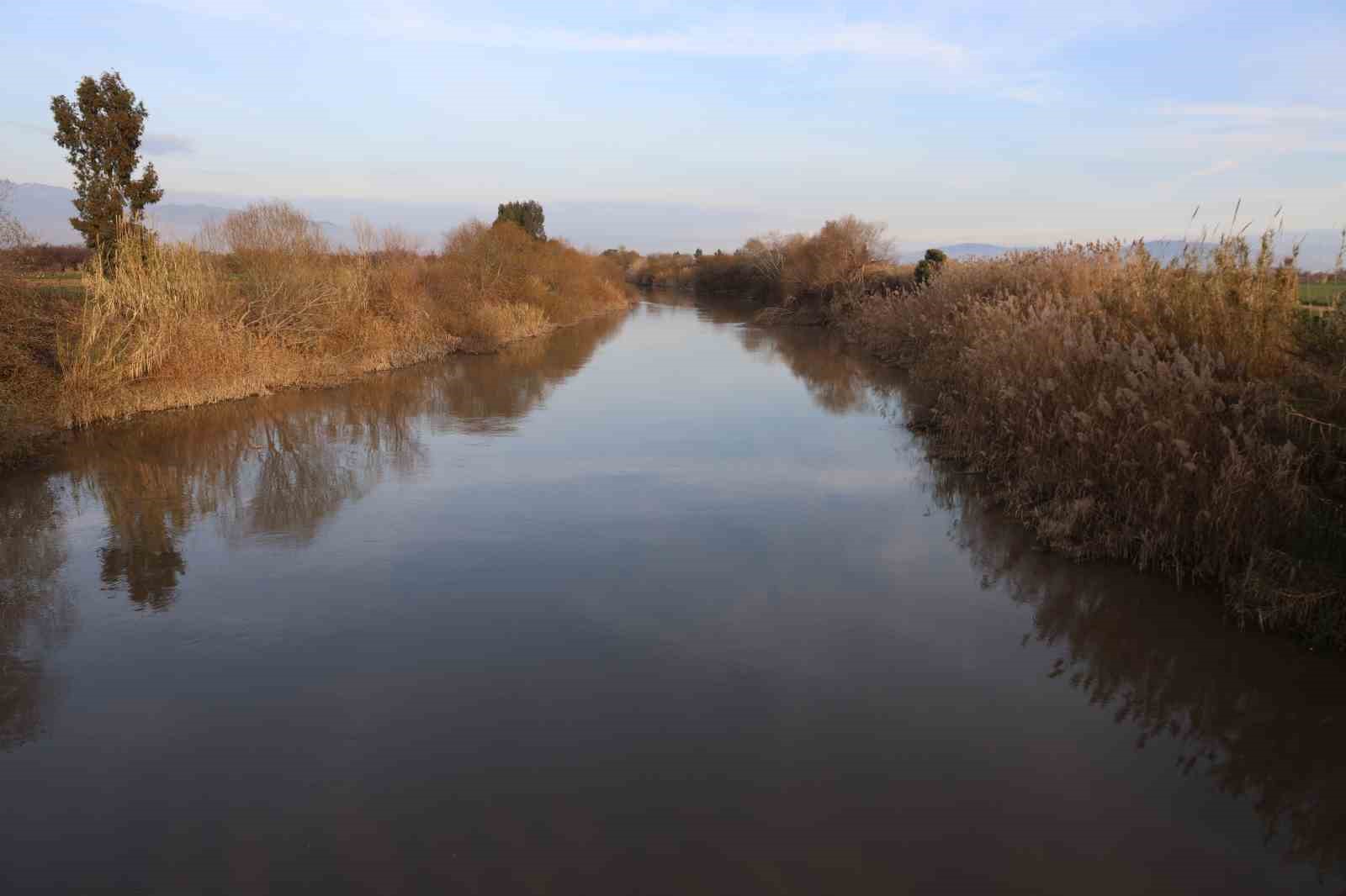 Menderes Nehri suya kavuştu
