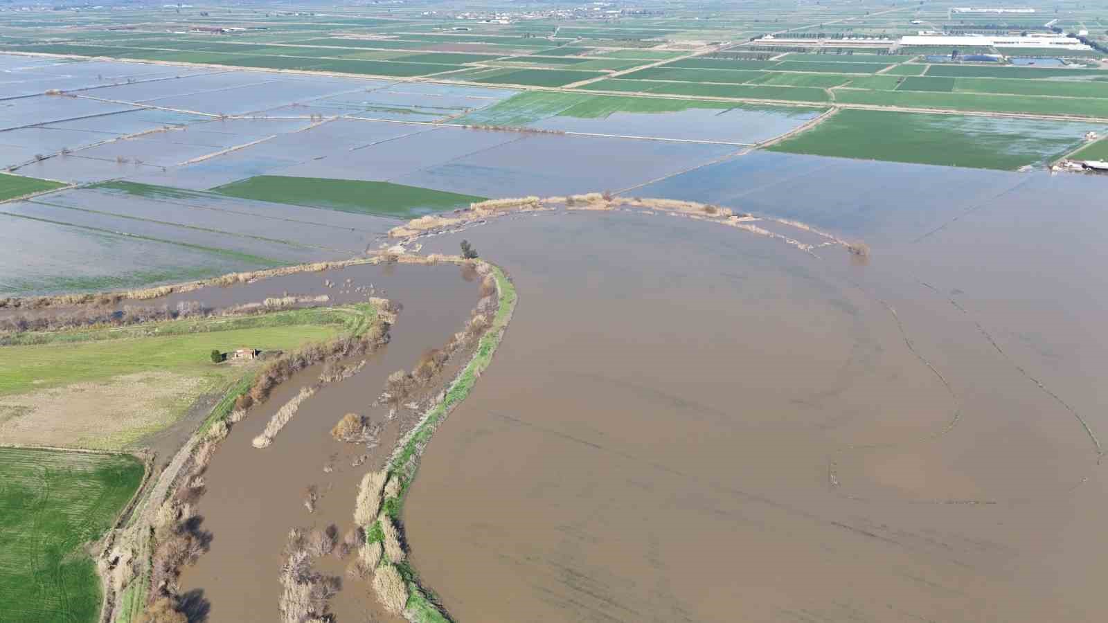 Menderes taştı, yüzlerce dönüm sular altında kaldı
