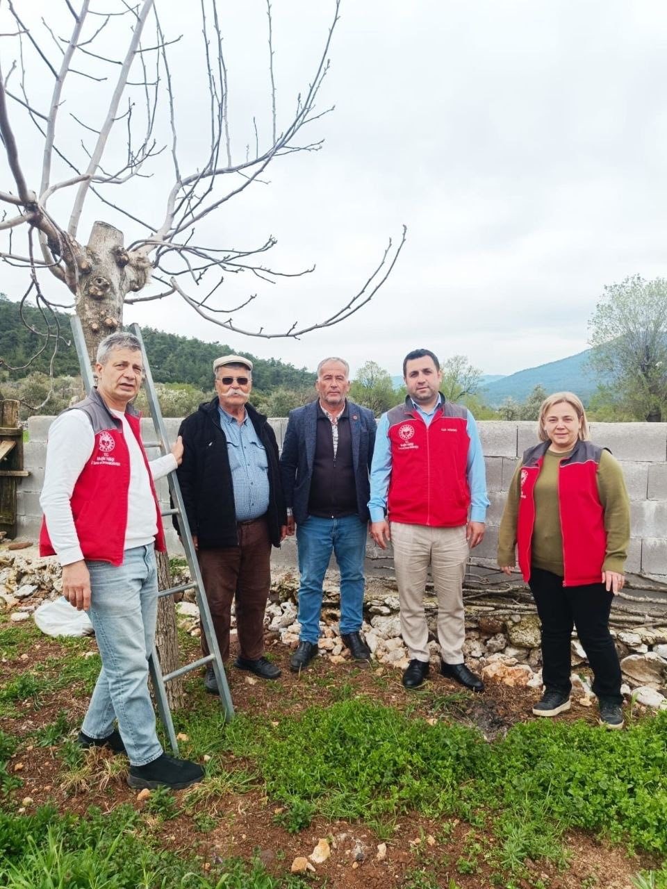 Menteşe’de çiftçiye uygulamalı eğitim
