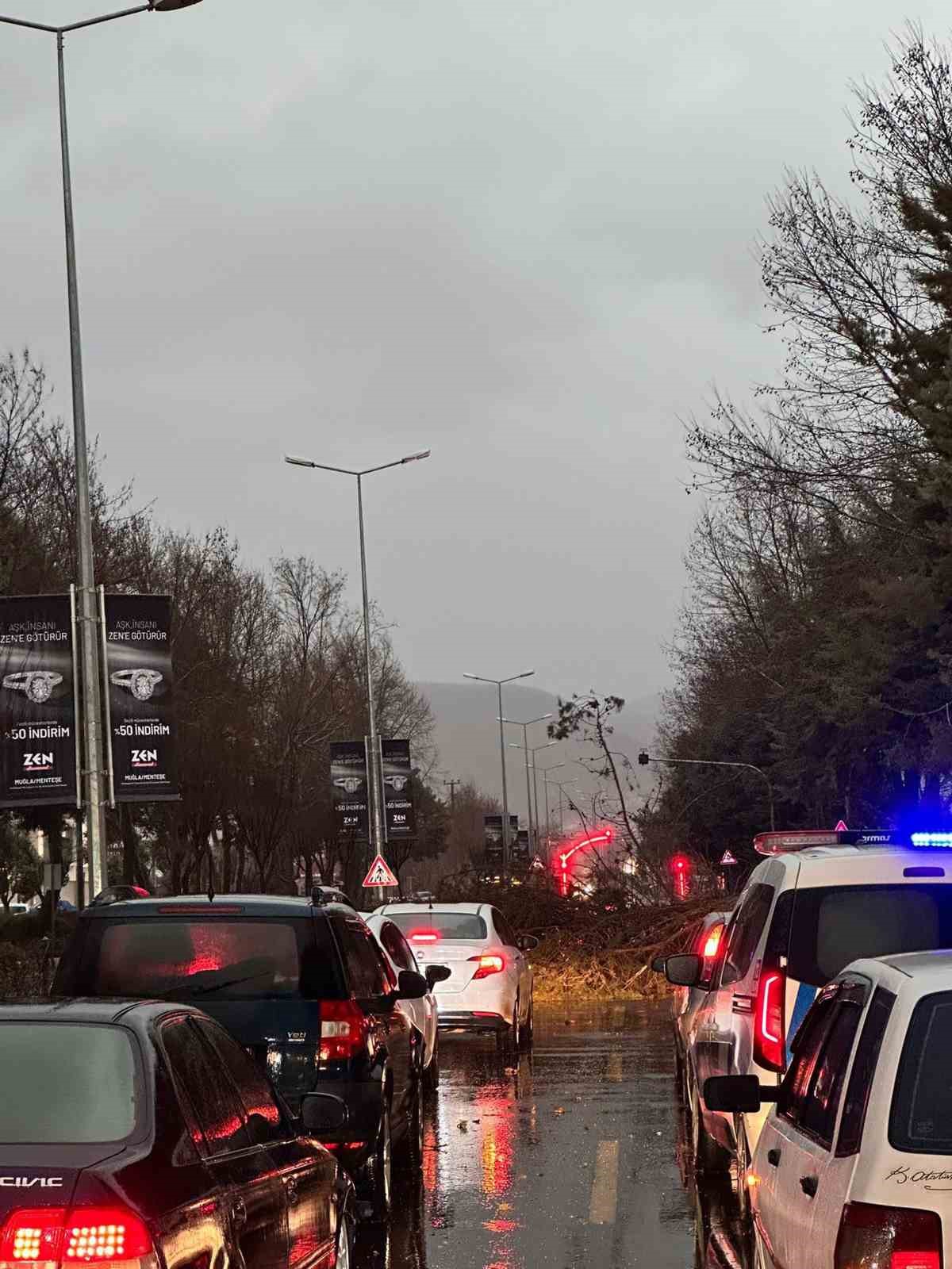 Menteşe’de şiddetli Fırtınada ağaç devrildi, trafik durdu

