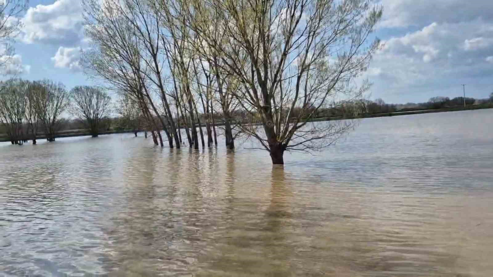 Meriç Nehri taştı, sular yollara ulaştı
