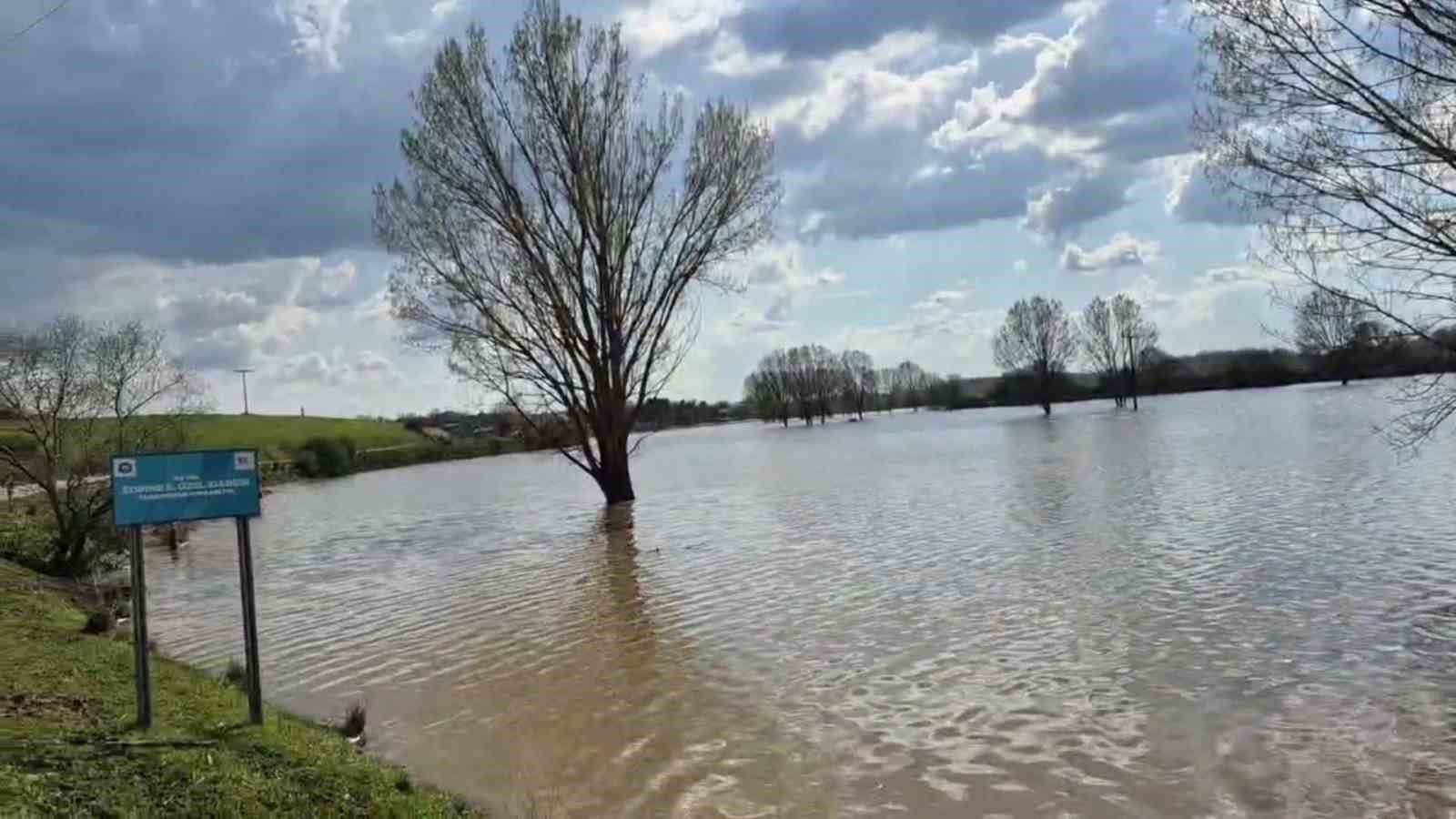Meriç Nehri taştı, sular yollara ulaştı
