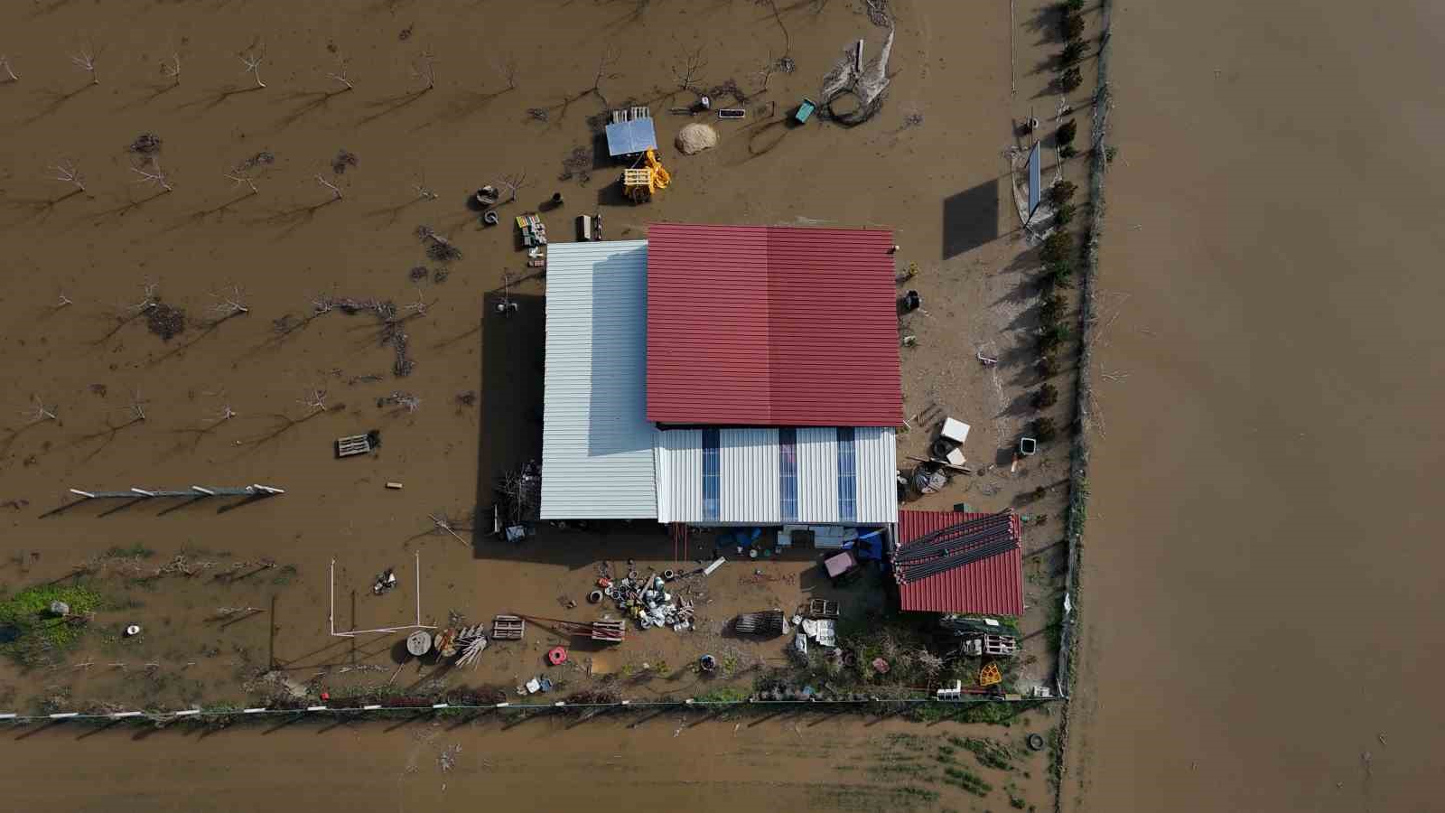 Meriç Nehri taştı, tarım arazileri ve yerleşim alanları sular altında kaldı
