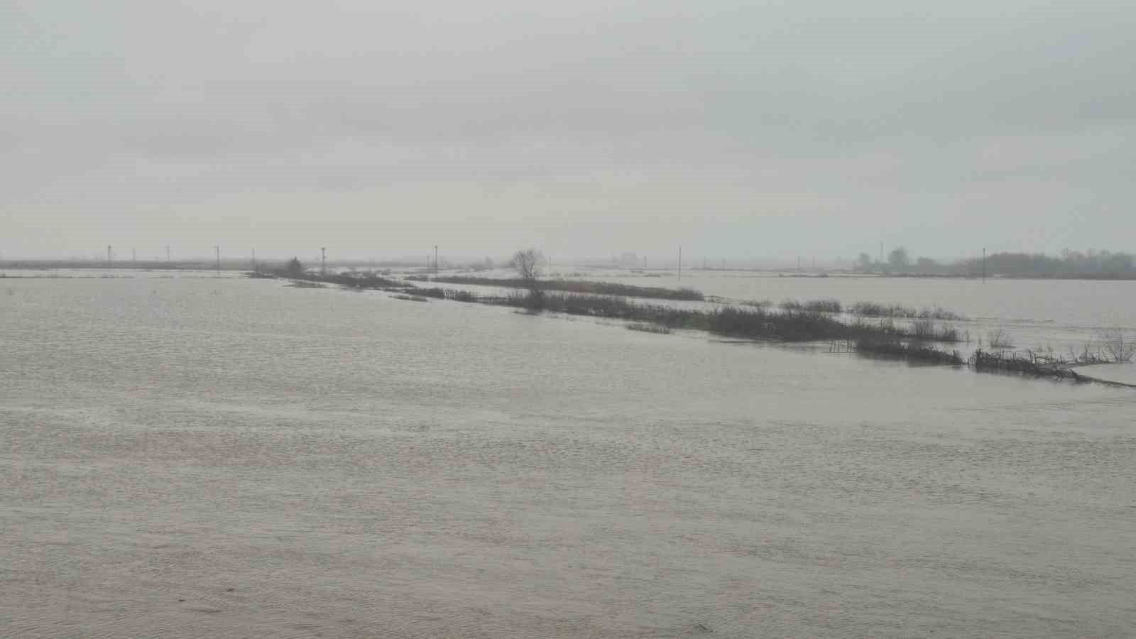 Meriç Nehri’nden taşan sular yaşam alanlarına kadar ulaştı
