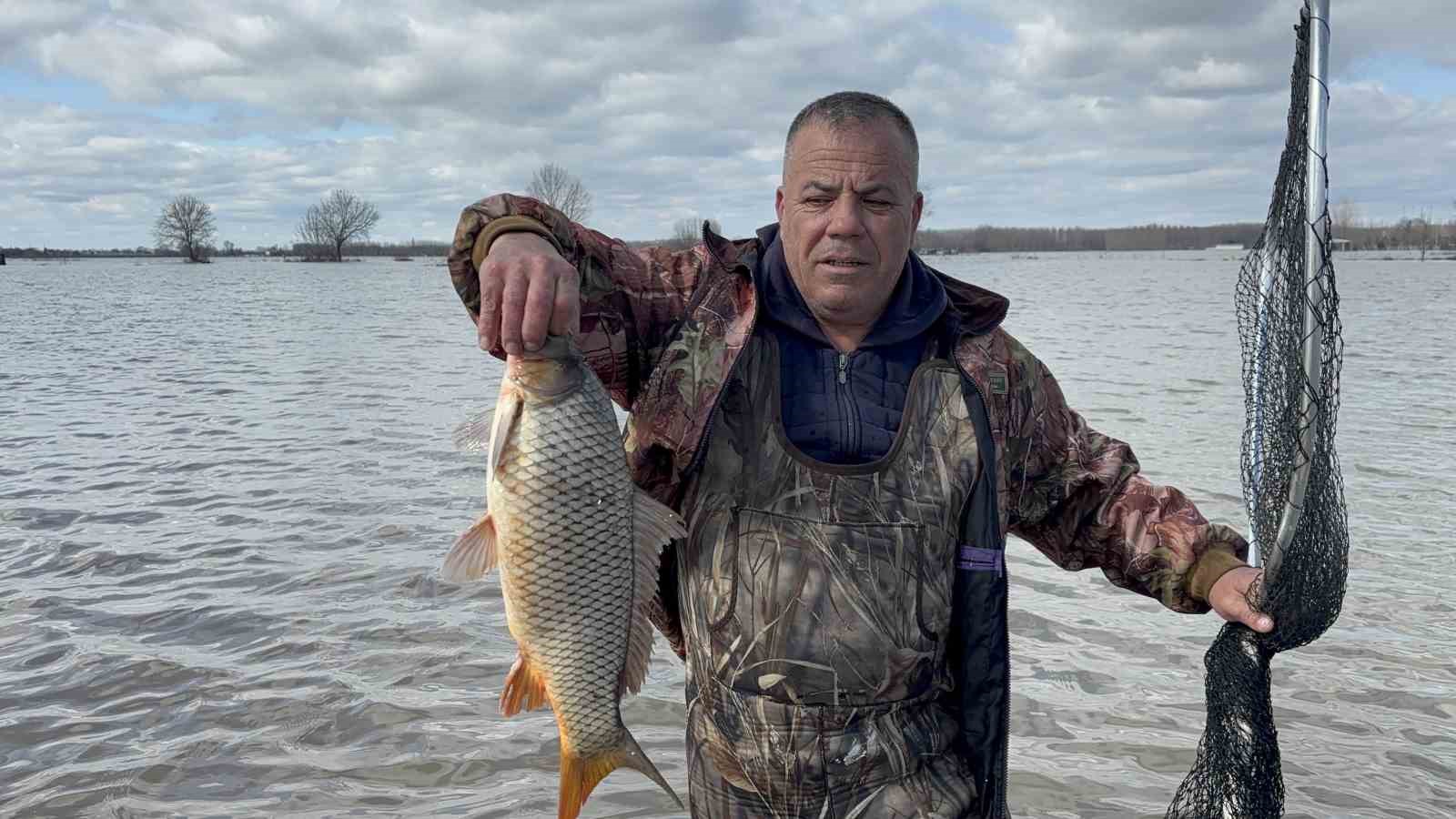 Meriç’in taşması sonrası tarlada sazan yakaladılar
