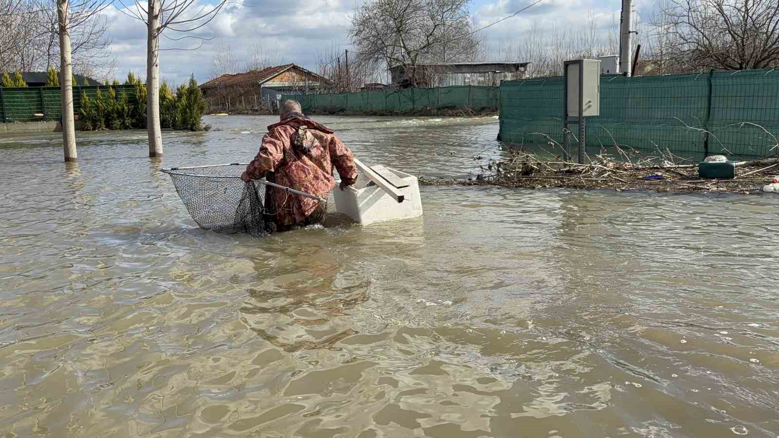 Meriç’in taşması sonrası tarlada sazan yakaladılar
