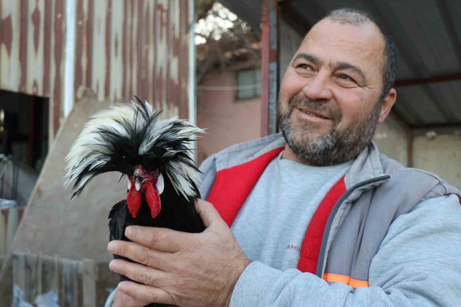 Mermer fabrikasında egzotik mesai: Farklı ırklardaki tavuklar burada yetişiyor
