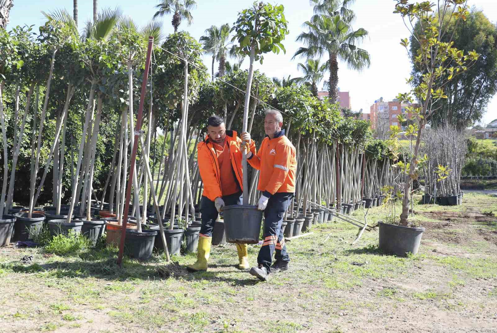 Mersin’de ağaçlandırma seferberliği başladı
