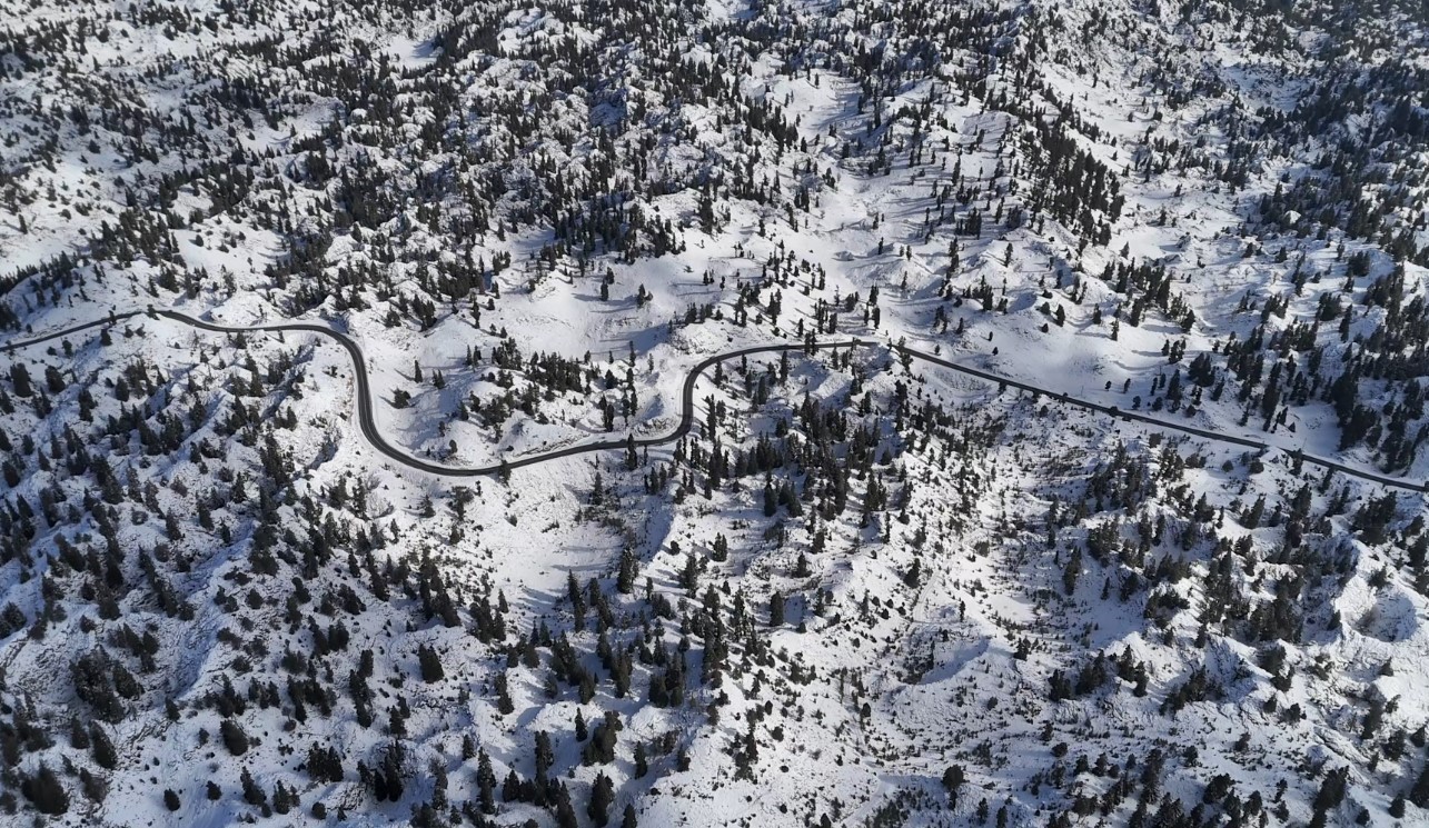 Mersin’de karla kaplanan ormanlık alandan kartpotallık görüntüler
