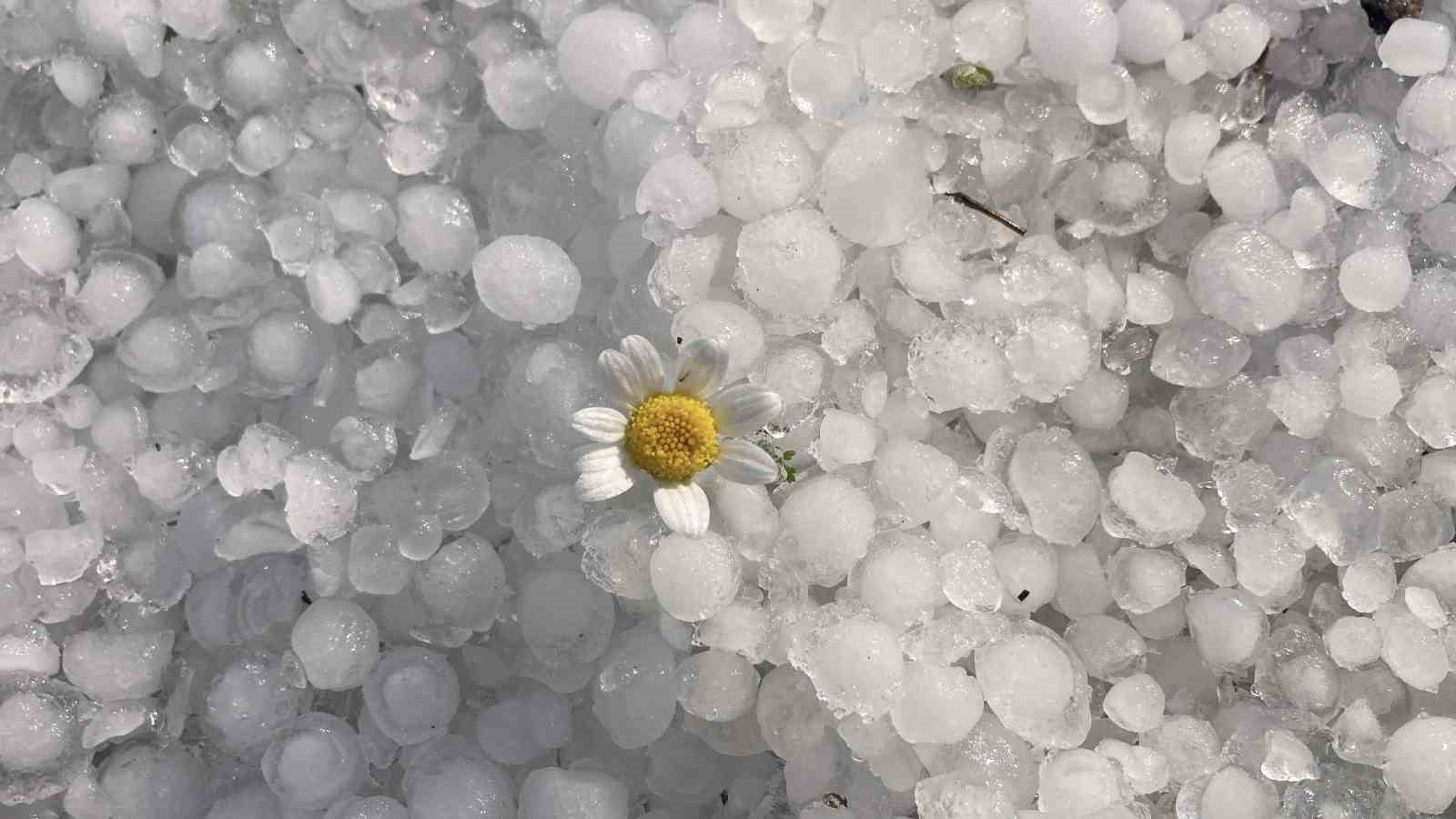 Mersin’de misket büyüklüğünde dolu etkili oldu: Orman ve bahçeler beyaza büründü

